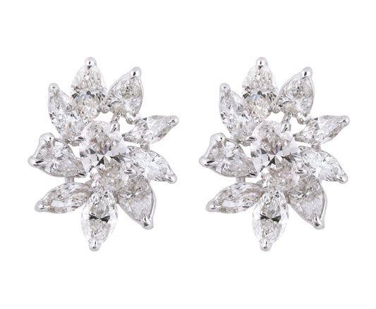 Fancy Diamond Earings